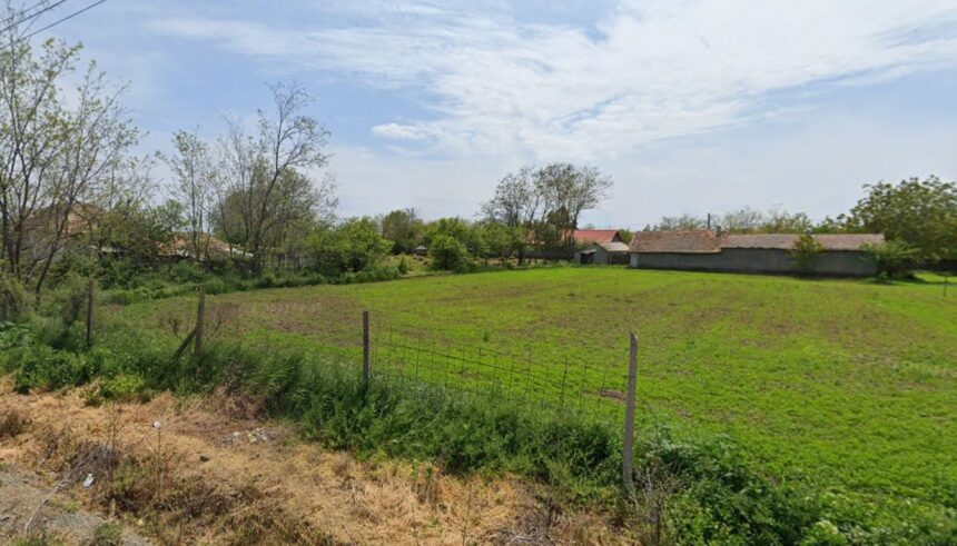 primaria mihai viteazu vinde doua terenuri intravilane vezi ce suprafata au si cand are loc licitatia 686681e566300
