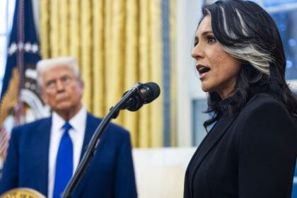 sefa serviciilor nationale americane de informatii cere urmarirea penala a lui barack obama ce acuzatii ii aduce tulsi gabbard 687fa29a953ae