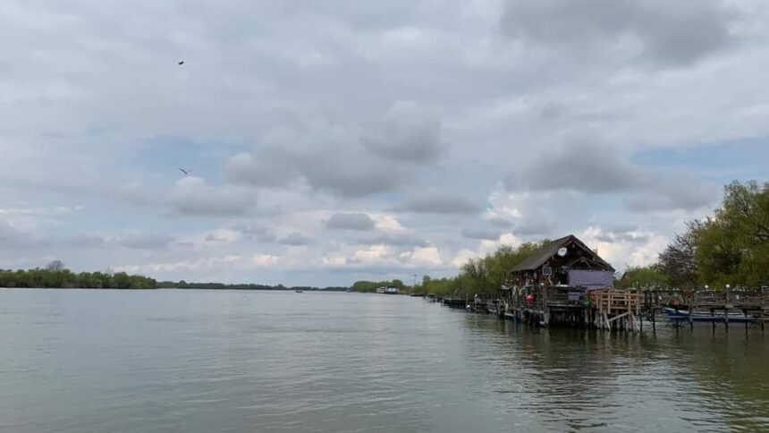 situatie critica in delta dunarii din cauza scaderii debitului fluviului apel catre pescari 686e0b78d36ea