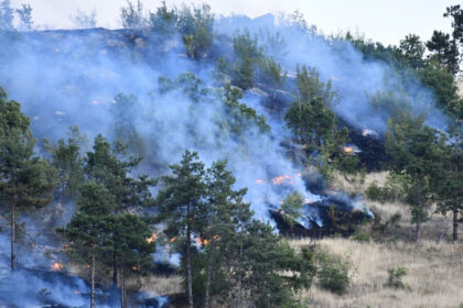 stare de urgenta in macedonia de nord din cauza incendiilor de padure 686e159f52165