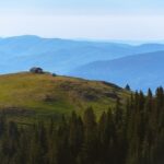 surpriza sts se implica in monitorizarea padurilor romaniei 68784f83e6820