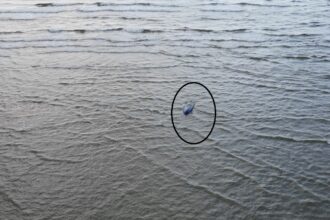 surse detaliul care schimba tot ancheta tragediei din golful musura ar putea fi preluata de parchetul militar iata motivul 688884189ec1e