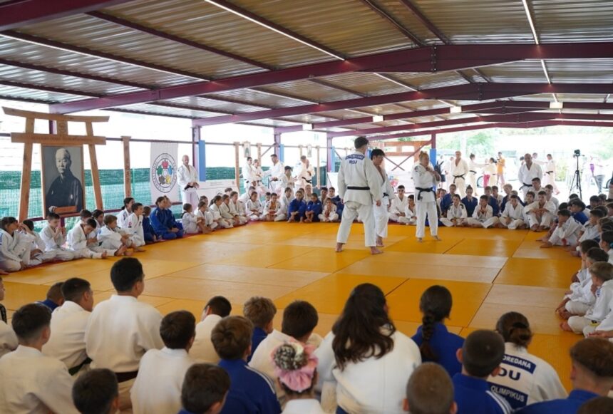 sute de judoka vin la traditionalul stagiu organizat anual de cs pantheon constanta 6874f29b37758