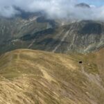 tanar grav ranit dupa ce a fost atacat de caini ciobanesti la o stana din muntii fagaras 687d06ceb122d
