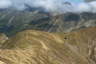 tanar grav ranit dupa ce a fost atacat de caini ciobanesti la o stana din muntii fagaras 687d06ceb122d