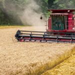 ultima ora materiile prime pentru industria alimentara ca graul pentru panificatie rosii si castraveti pentru procesare ar urma sa ramana cu tva redusa 6888c6128d3c9