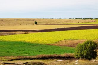 un teren din mihail kogalniceanu detinut de una din firmele sotilor comanescu scos la licitatie intr un dosar de executare silita la pret redus 6871dd7fee1f3