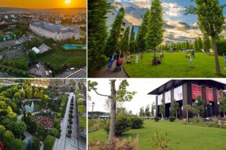 video 25 ani de iulius 3 gradini urbane amenajate de la zero in iasi timisoara si cluj napoca 18 hectare spatii verzi peste 80 000 arbori maturi si arbusti 68877313d5d2e
