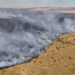 video alerta primarul comunei gradina dupa izbucnirea unui incendiu in rezervatia naturala cheile dobrogei focul e posibil sa se extinda spre sat nu este de gluma 6873f938f075e