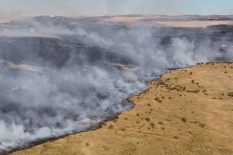 video alerta primarul comunei gradina dupa izbucnirea unui incendiu in rezervatia naturala cheile dobrogei focul e posibil sa se extinda spre sat nu este de gluma 6873f938f075e