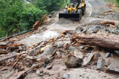 video blocaj pe transfagarasan in urma unei viituri soseaua s a umplut cu bucati de copaci si pietre 68767d0e71e3a