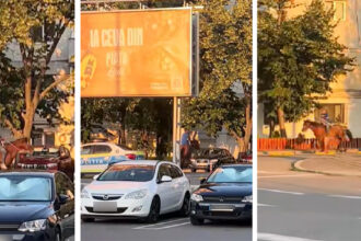 video cascadorii rasului un barbat calare urmarit de politisti printre blocuri 687544b768587