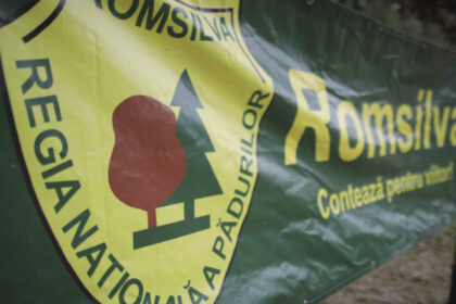 video cum vor fi alesi noii sefi din romsilva concurs cu mandat pe 5 ani ministrul diana buzoianu vor fi multe nemultumiri 6878efad1819c