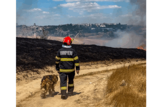 video imaginea care a emotionat tulcea catel salvat din flacari surprins alaturi de salvatorul sau 6866c4c604a28