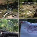 video imagini dezolante in marile parcuri ale bucurestiului copaci cazuti si amenajari distruse dupa furtuna primaria e de negasit 68824b879e42a