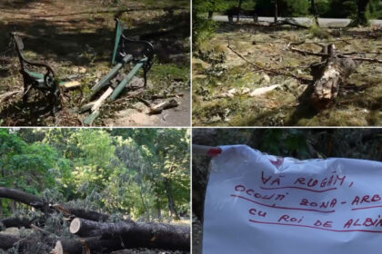 video imagini dezolante in marile parcuri ale bucurestiului copaci cazuti si amenajari distruse dupa furtuna primaria e de negasit 68824b879e42a