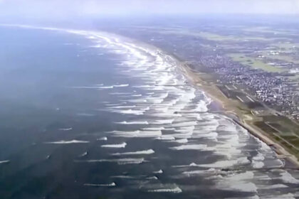 video imagini impresionante in japonia balene esuate pe tarmul din tateyama dupa cutremurul puternic din kamceatka urmat de un tsunami 6889fa4936742