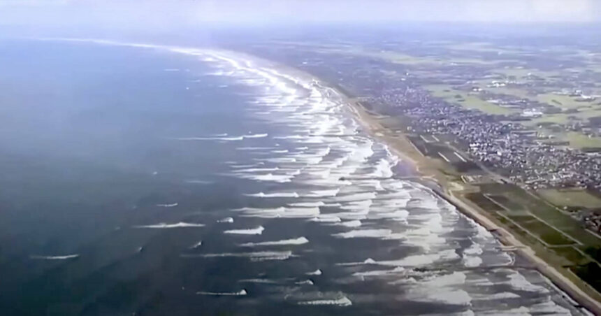 video imagini impresionante in japonia balene esuate pe tarmul din tateyama dupa cutremurul puternic din kamceatka urmat de un tsunami 6889fa4936742