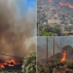 video incendii devastatoare in grecia si turcia doi morti in izmir mii de locuitori si turisti au fost evacuati 6867e0af670f2