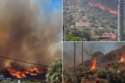 video incendii devastatoare in grecia si turcia doi morti in izmir mii de locuitori si turisti au fost evacuati 6867e0af670f2
