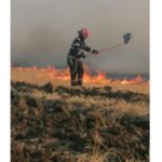 video incendiu in zona manastirii cocos de langa comuna niculitel interventie de amploare in desfasurare 686cfd70d368a