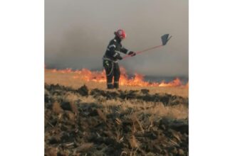 video incendiu in zona manastirii cocos de langa comuna niculitel interventie de amploare in desfasurare 686cfd70d368a
