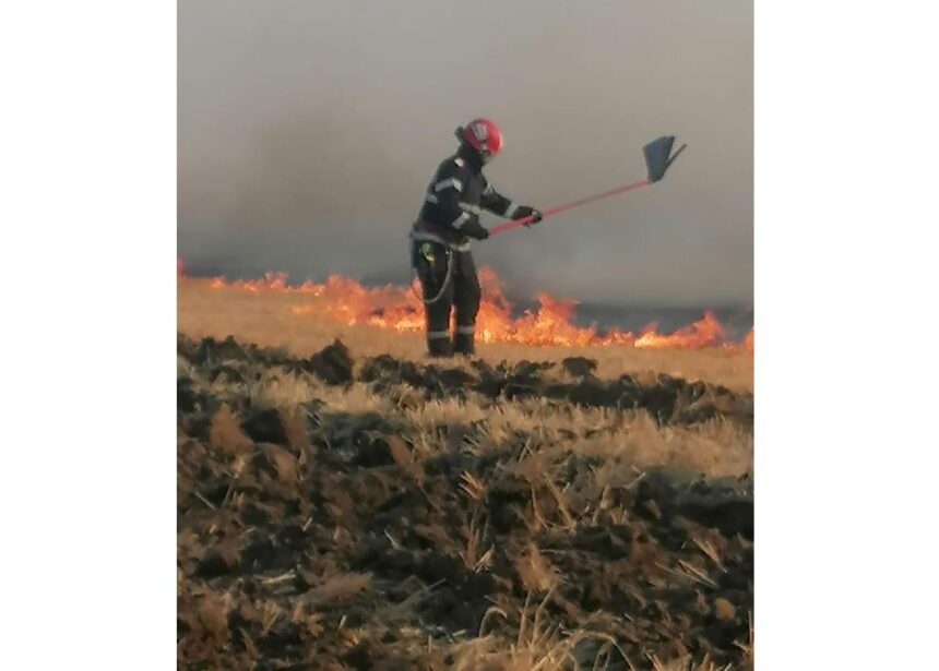 video incendiu in zona manastirii cocos de langa comuna niculitel interventie de amploare in desfasurare 686cfd70d368a