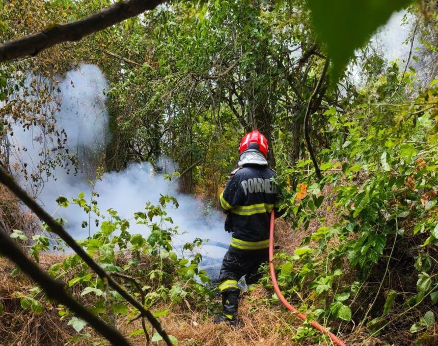 video incredibil de la ce a pornit incendiul din tulcea care a distrus 1000 de hectare 686a1fb577ede