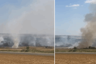 video mai multe anexe gospodaresti au ars in casimcea judetul tulcea focul a pornit de la un incendiu de vegetatie 6867c0334747e