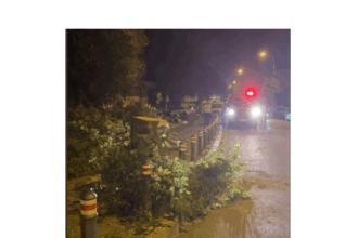 video mai multi copaci au cazut pe carosabil in constanta si mangalia dupa vijelia puternica din aceasta seara 686ec518d7c1f