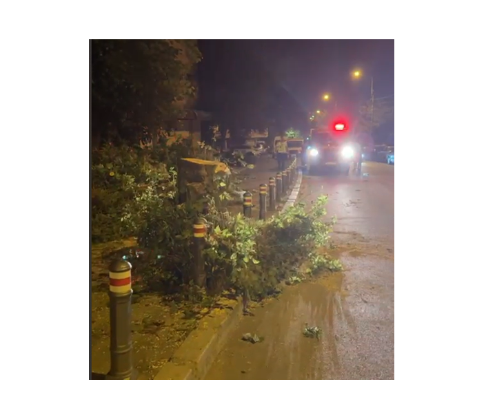 video mai multi copaci au cazut pe carosabil in constanta si mangalia dupa vijelia puternica din aceasta seara 686ec518d7c1f