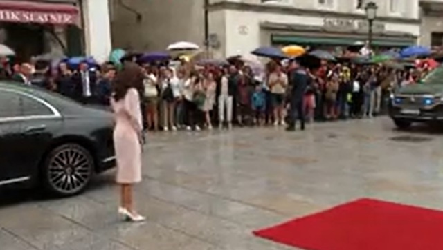 video nicusor dan alaturi de partenera si cei doi copii primit la salzburg de presedintele austriei 6883949653aa2