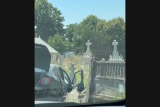 video o masina a distrus gardul cimitirului din eforie nord 6872322741218