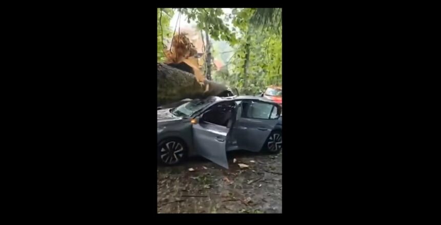 video prapad a facut furtuna in sinaia 16 persoane la spital masini distruse de copacii prabusiti iar acoperisul unei anexe a garii a fost smuls de vant 686ea6a060cd0