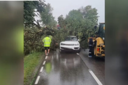 video rupere de nori in iasi si neamt au cazut bucati mari de grindina zeci de copaci au fost doborati de vant 6877b2f0814dc