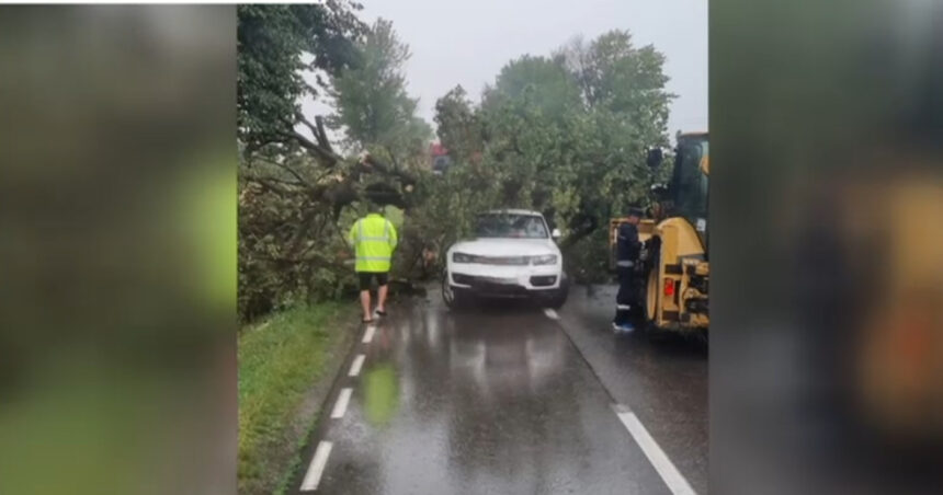 video rupere de nori in iasi si neamt au cazut bucati mari de grindina zeci de copaci au fost doborati de vant 6877b2f0814dc