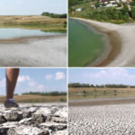 video seceta goleste lacurile din sudul romaniei cum arata astazi un lac de peste 40 de hectare din olt s a ales praful 6884572f6007d