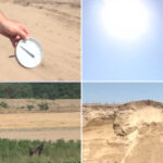 video situatie critica in sahara olteniei unde nu a mai plouat de trei luni cum arata viata de agricultor in camp la peste 40 celsius 6881d94451f45