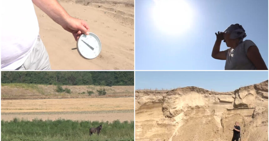video situatie critica in sahara olteniei unde nu a mai plouat de trei luni cum arata viata de agricultor in camp la peste 40 celsius 6881d94451f45