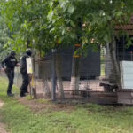 video suspectul crimei din mures cautat in judetul arad sunt perchezitii si la mai multe adrese din mures 68737e461d272