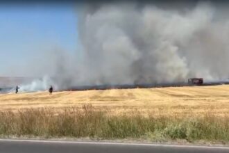 video val de incendii de vegetatie uscata in judetul constanta 6867c048b09e8