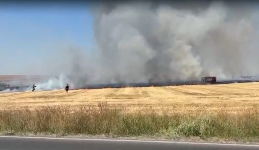 video val de incendii de vegetatie uscata in judetul constanta 6867c048b09e8