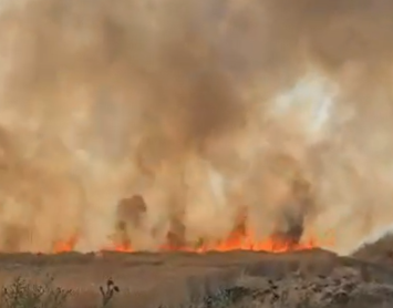 video zeci de hectare de vegetatie au luat foc din cauza incendiului autoturismului de pe a2 6866ad1510266