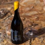 vinul zilei un chardonnay romanesc intr un stil mai serios si ambitios cu note de fruct copt exotic de caise si piersici alaturi de tarta cu vanilie nuci prajite si patiserie cu unt 686f5b7a7a420