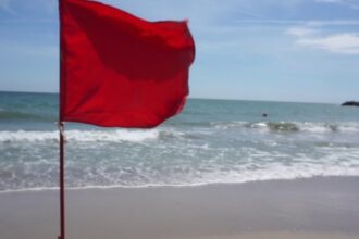 a sfidat salvamarii si a fost incatusat turist amendat pe plaja din venus 68a85d896fe3d