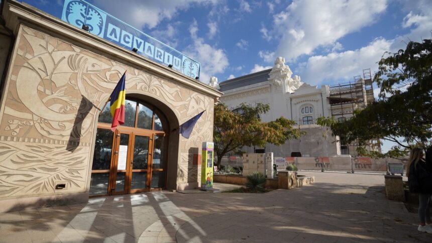 administratia judeteana pregateste licitatia pentru proiectarea lucrarilor de reabilitare a acvariului de pe faleza cazinoului 68992049cc21d