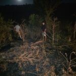 alerta in comuna lipnita un incendiu de vegetatie uscata a izbucnit intre ferma 10 si crama lipnita 6899024a8e11d