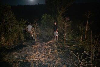 alerta in comuna lipnita un incendiu de vegetatie uscata a izbucnit intre ferma 10 si crama lipnita 6899024a8e11d