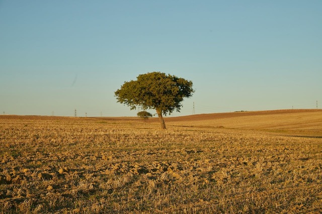alerta meteo in romania vin temperaturi neobisnuit de mari 689b0ebf0b92f