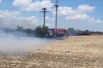 alerta pe autostrada a2 pe sensul spre constanta a luat foc vegetatia de pe marginea drumului 68a5fc0af342f